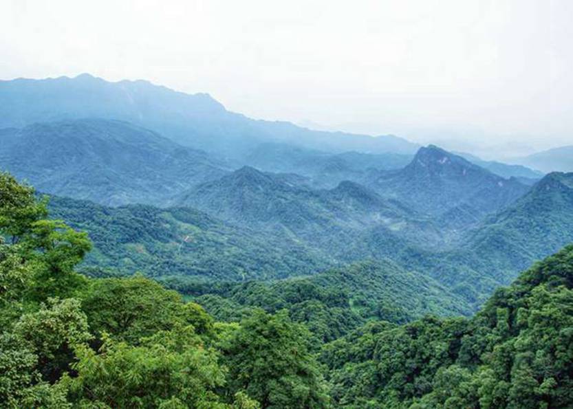 湖北这些红色景点，去过5个算你厉害！更后一个太震撼了-第3张图片-四川省中国青年旅行社